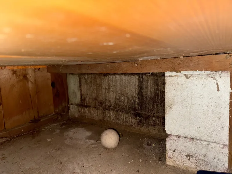 Bare dirt crawl space before encapsulation