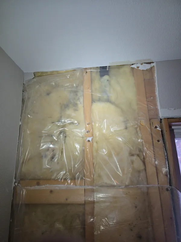 Insulation and vapor barrier exposed behind a removed wall section