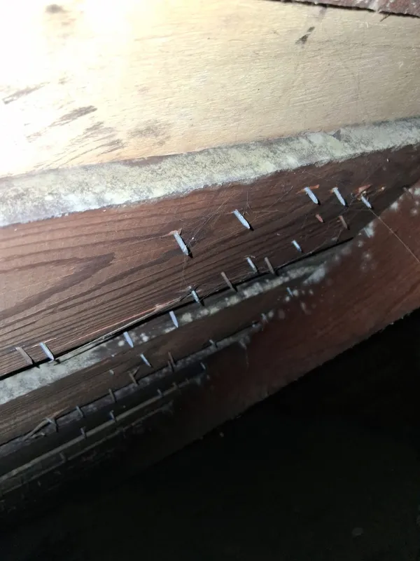 Mold and corrosion on attic roof sheathing and nails