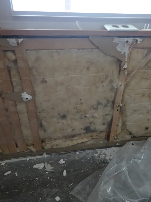 Mold on floor joists above a damp crawl space
