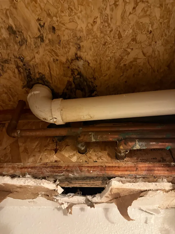 Failed subfloor insulation and plumbing exposed under a floor