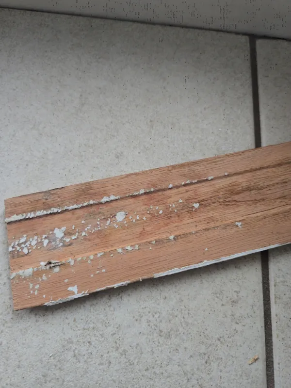 Water-damaged hardwood plank lifted out of a buckled floor