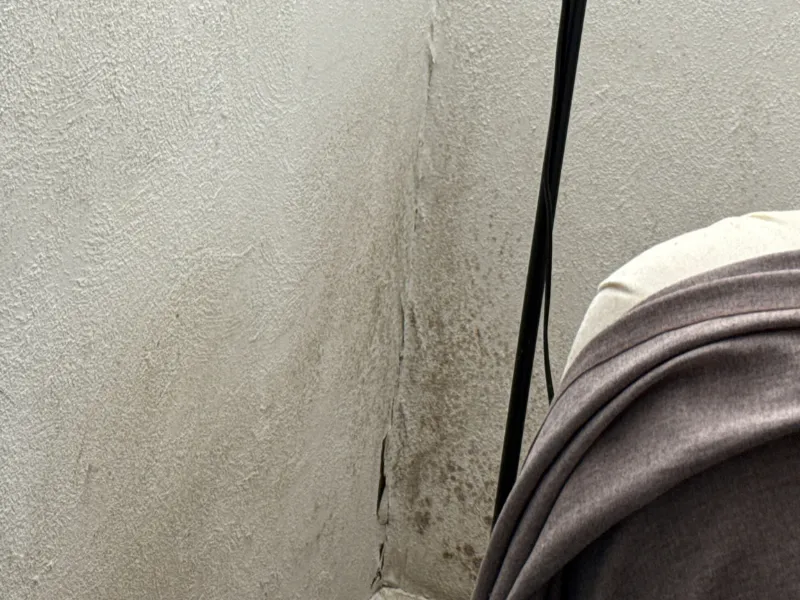 Water staining running down a basement wall